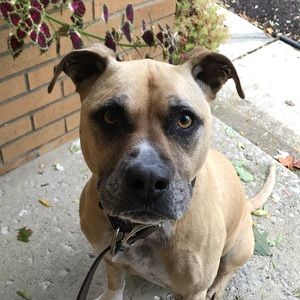 Meet your Posher, Kelsey